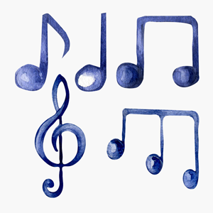 cati-musician